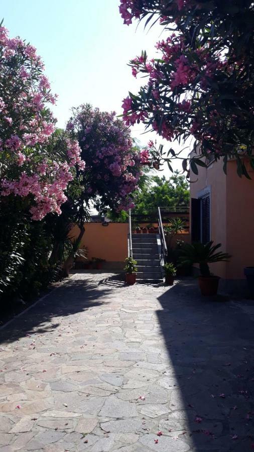 B&B Fiumicino Airport Resort Εξωτερικό φωτογραφία