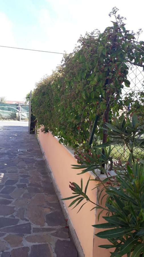 B&B Fiumicino Airport Resort Εξωτερικό φωτογραφία